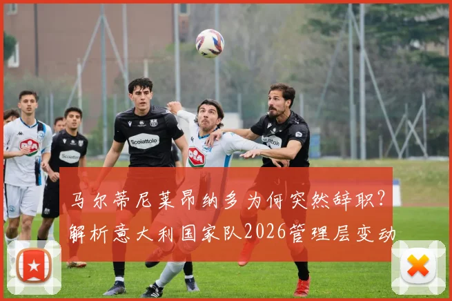 马尔蒂尼莱昂纳多为何突然辞职？解析意大利国家队2026管理层变动原因与后续影响