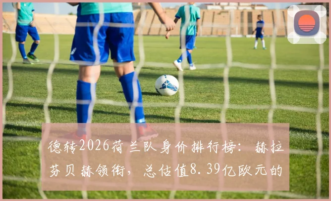 德转2026荷兰队身价排行榜:赫拉芬贝赫领衔,总估值8.39亿欧元的球员身价明细与深度分析