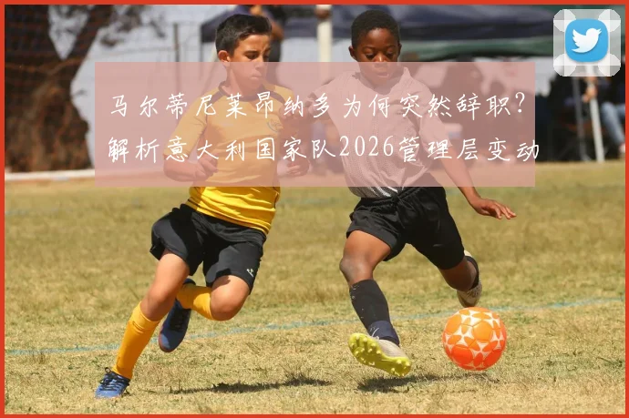 马尔蒂尼莱昂纳多为何突然辞职?解析意大利国家队2026管理层变动原因与后续影响